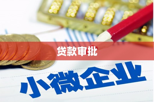 志丹贷款审批