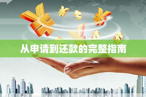 安定从申请到还款的完整指南