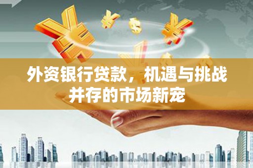 宁海外资银行贷款，机遇与挑战并存的市场新宠