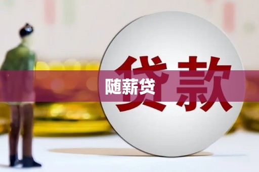 竹东随薪贷