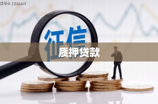 潭子质押贷款