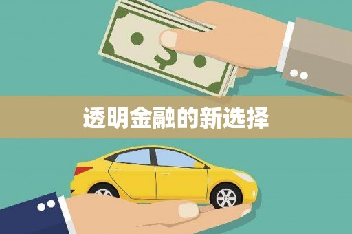 莱西透明金融的新选择