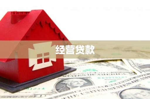 荥经经营贷款
