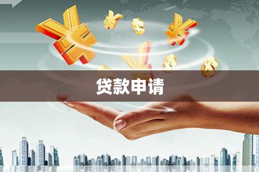 石龙贷款申请