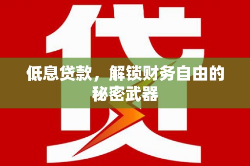 二仑低息贷款，解锁财务自由的秘密武器