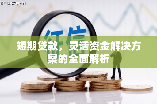 丰原短期贷款，灵活资金解决方案的全面解析