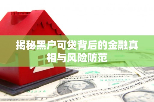 太子河揭秘黑户可贷背后的金融真相与风险防范