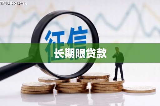 白沙长期限贷款