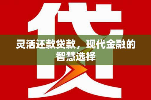 阿里灵活还款贷款，现代金融的智慧选择