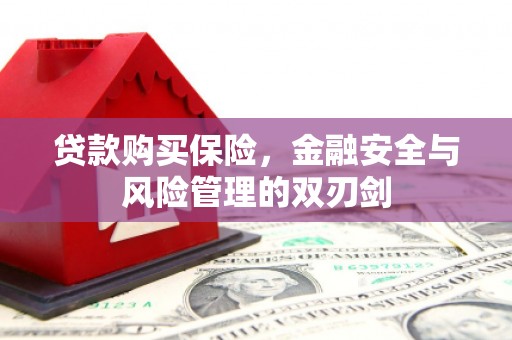 天津贷款购买保险，金融安全与风险管理的双刃剑