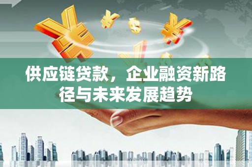 麦寮供应链贷款，企业融资新路径与未来发展趋势