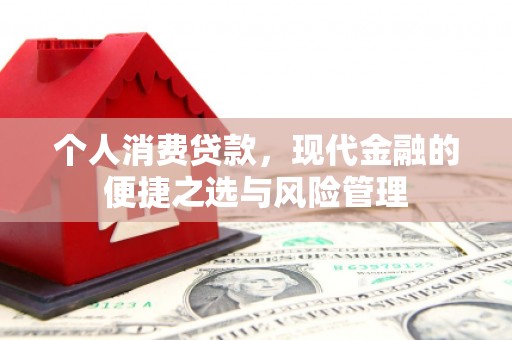 那玛夏个人消费贷款，现代金融的便捷之选与风险管理