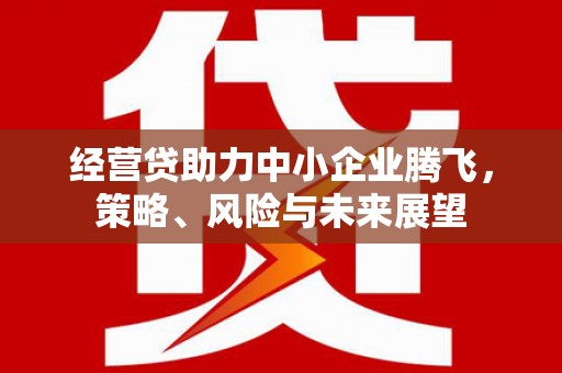 临翔经营贷助力中小企业腾飞，策略、风险与未来展望