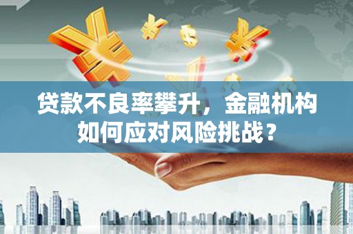 长兴贷款不良率攀升，金融机构如何应对风险挑战？