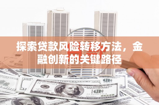 乐亭探索贷款风险转移方法，金融创新的关键路径