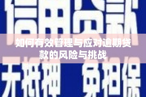 普格如何有效管理与应对逾期贷款的风险与挑战