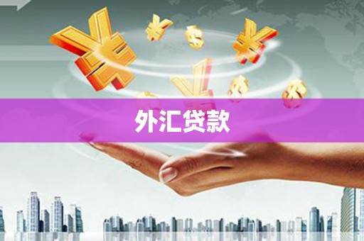 雾峰外汇贷款