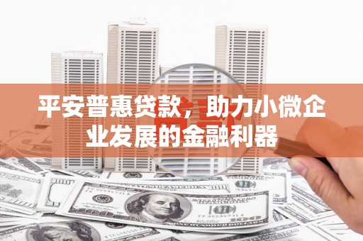 沈丘平安普惠贷款，助力小微企业发展的金融利器