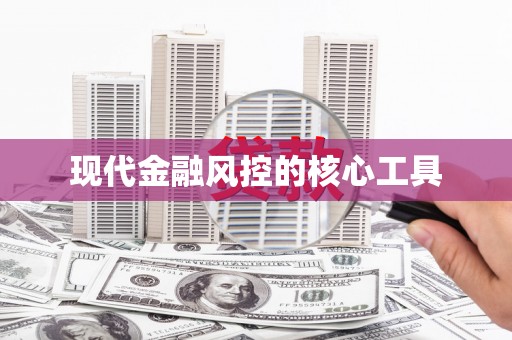 西华现代金融风控的核心工具