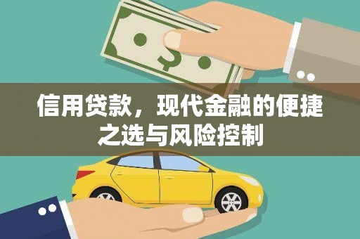 武鸣信用贷款，现代金融的便捷之选与风险控制