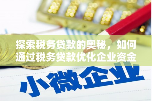 潍坊探索税务贷款的奥秘，如何通过税务贷款优化企业资金流