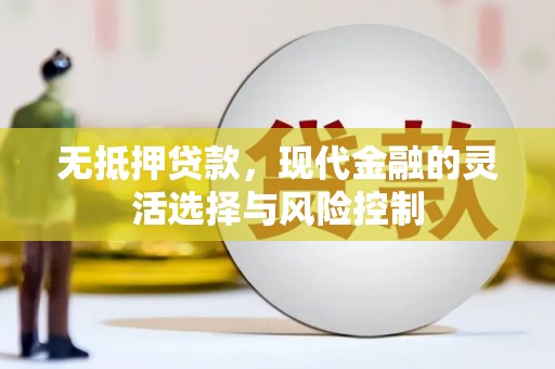 北市无抵押贷款，现代金融的灵活选择与风险控制