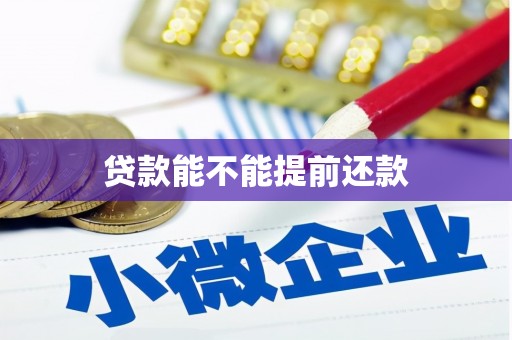 临沧贷款能不能提前还款