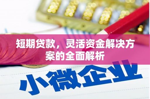 新北短期贷款，灵活资金解决方案的全面解析