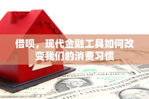 姚安借呗，现代金融工具如何改变我们的消费习惯