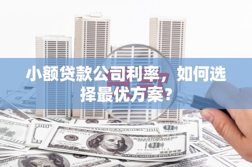 暖暖小额贷款公司利率，如何选择最优方案？