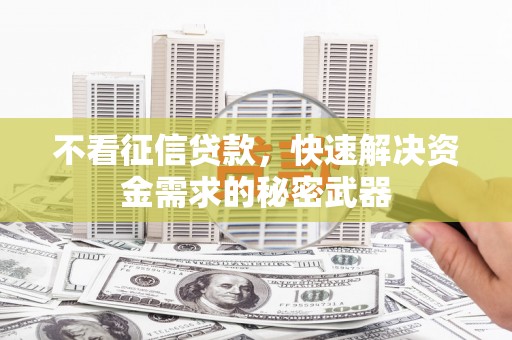 秦安不看征信贷款，快速解决资金需求的秘密武器