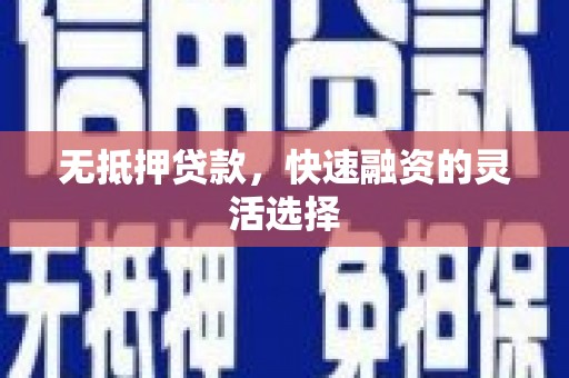 郁南无抵押贷款，快速融资的灵活选择