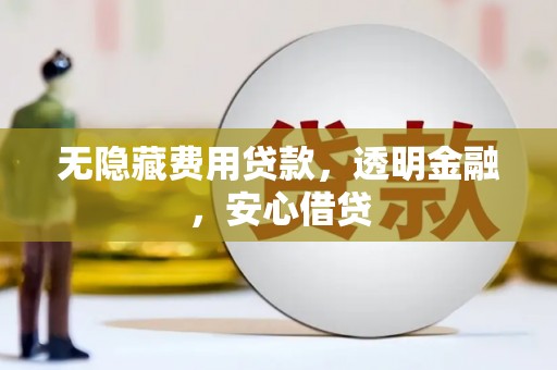 龙陵无隐藏费用贷款，透明金融，安心借贷