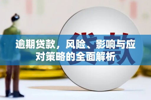 岷县逾期贷款，风险、影响与应对策略的全面解析