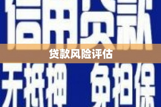 临沧贷款风险评估