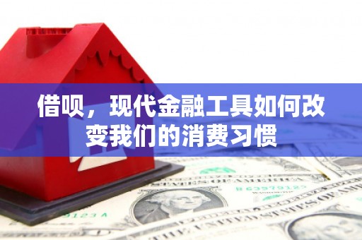 田阳借呗，现代金融工具如何改变我们的消费习惯