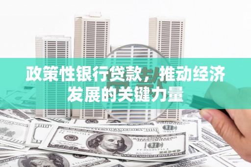娄烦政策性银行贷款，推动经济发展的关键力量