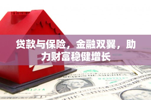 屏南贷款与保险，金融双翼，助力财富稳健增长