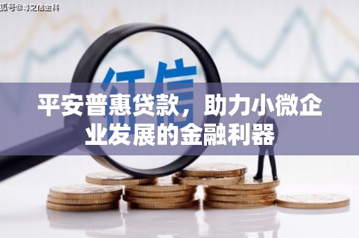 鄂托克旗平安普惠贷款，助力小微企业发展的金融利器