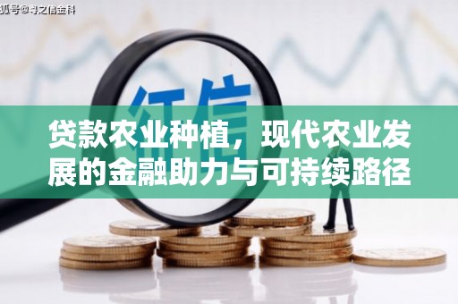 和静贷款农业种植，现代农业发展的金融助力与可持续路径