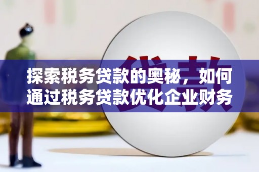 永州探索税务贷款的奥秘，如何通过税务贷款优化企业财务