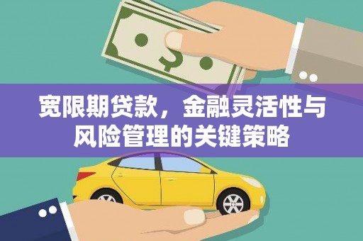 永康宽限期贷款，金融灵活性与风险管理的关键策略