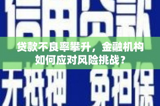 盐津贷款不良率攀升，金融机构如何应对风险挑战？