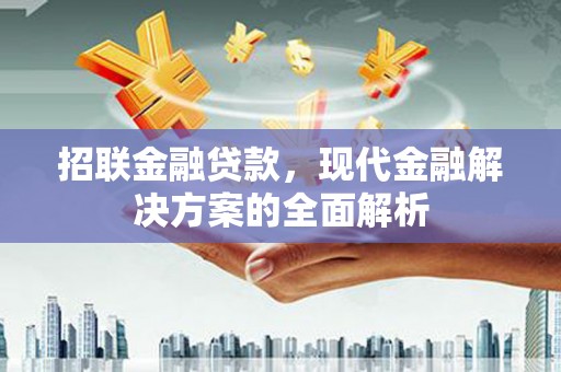 南安招联金融贷款，现代金融解决方案的全面解析