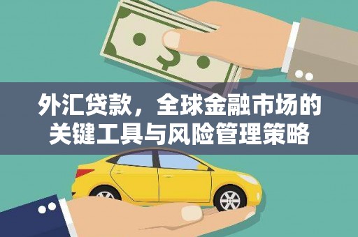 甘孜外汇贷款，全球金融市场的关键工具与风险管理策略