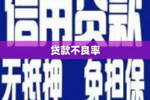 西屿贷款不良率