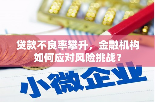 咸宁贷款不良率攀升，金融机构如何应对风险挑战？