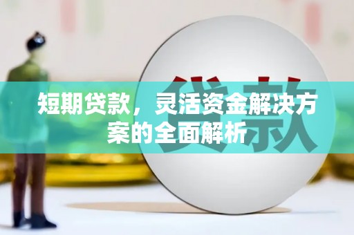 大宁短期贷款，灵活资金解决方案的全面解析