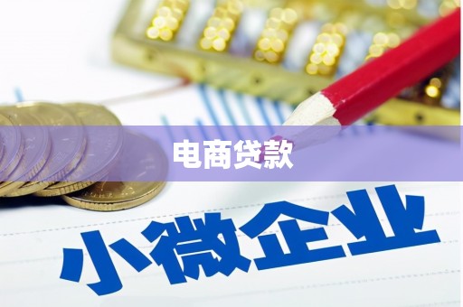 九原电商贷款