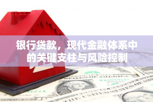 大村银行贷款，现代金融体系中的关键支柱与风险控制
